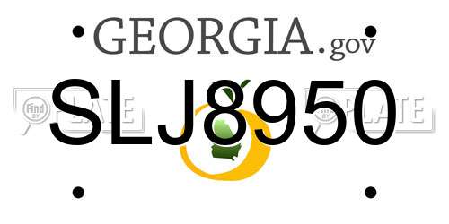 SLJ8950 Georgia License Plate