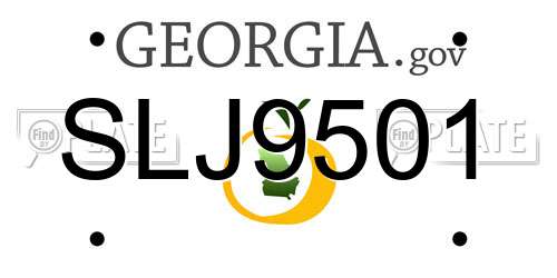 SLJ9501 Georgia License Plate