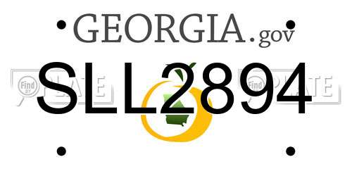 SLL2894 Georgia License Plate