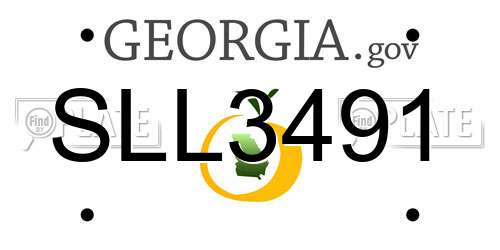 SLL3491 Georgia License Plate