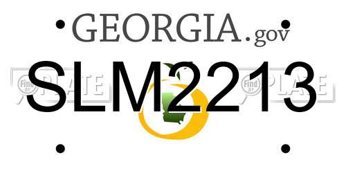 SLM2213 Georgia License Plate