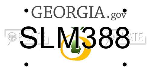 SLM388 Georgia License Plate