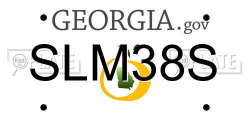 SLM38S Georgia License Plate