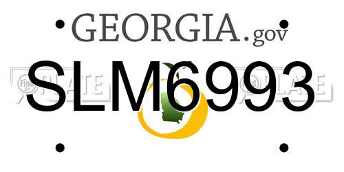 SLM6993 Georgia License Plate