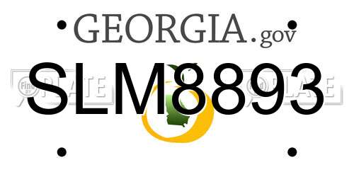 SLM8893 Georgia License Plate