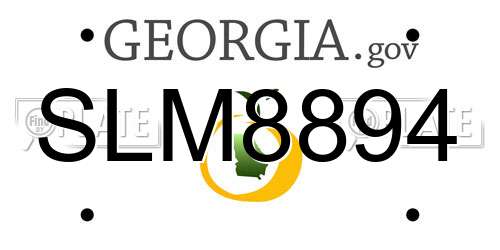 SLM8894 Georgia License Plate