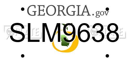 SLM9638 Georgia License Plate