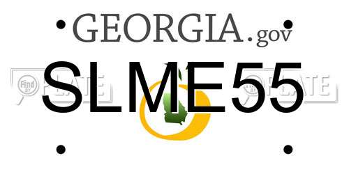 SLME55 Georgia License Plate