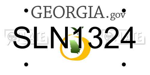 SLN1324 Georgia License Plate