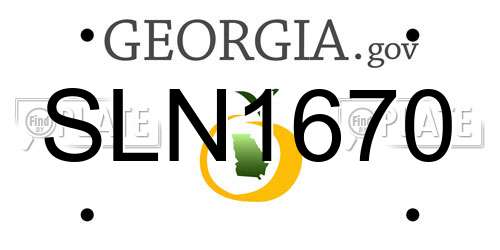SLN1670 Georgia License Plate