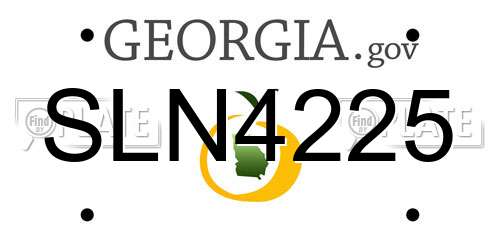 SLN4225 Georgia License Plate