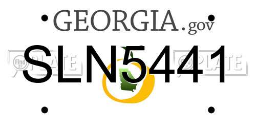 SLN5441 Georgia License Plate