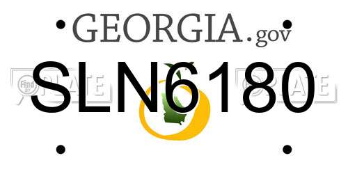 SLN6180 Georgia License Plate