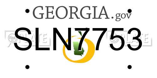 SLN7753 Georgia License Plate