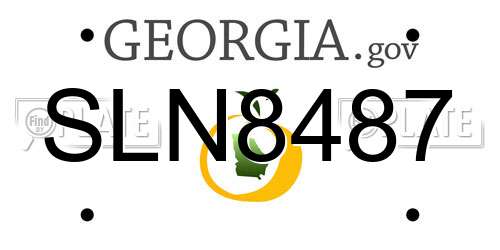 SLN8487 Georgia License Plate