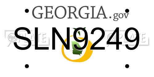 SLN9249 Georgia License Plate