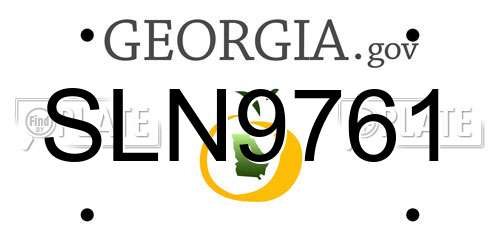 SLN9761 Georgia License Plate