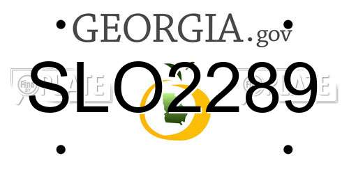 SLO2289 Georgia License Plate