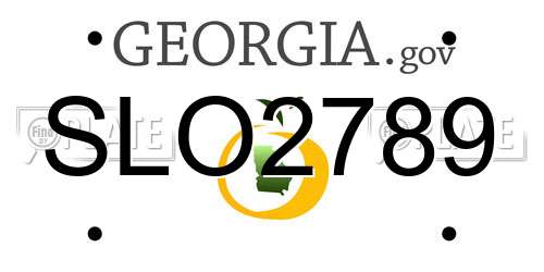 SLO2789 Georgia License Plate