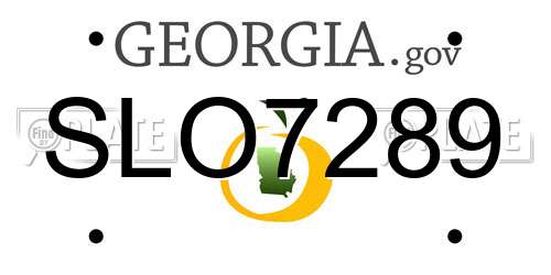 SLO7289 Georgia License Plate
