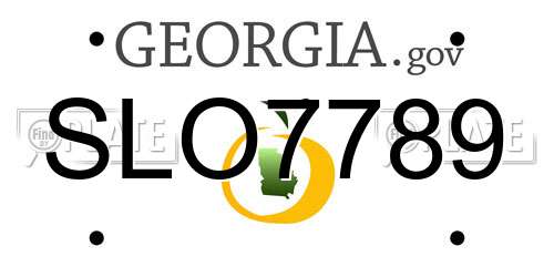 SLO7789 Georgia License Plate