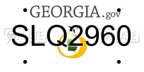 SLQ2960 Georgia License Plate