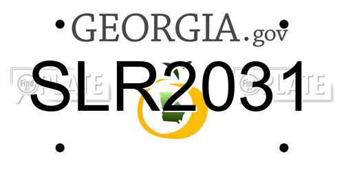 SLR2031 Georgia License Plate