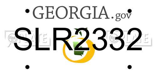 SLR2332 Georgia License Plate