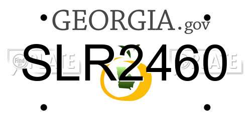 SLR2460 Georgia License Plate