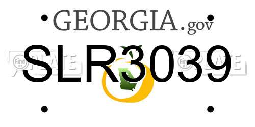 SLR3039 Georgia License Plate