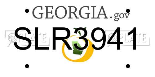 SLR3941 Georgia License Plate