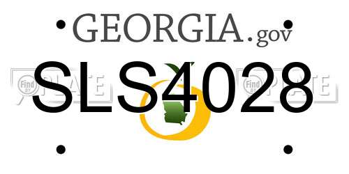 SLS4028 Georgia License Plate