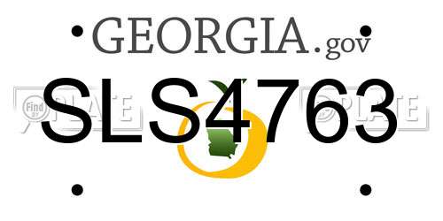 SLS4763 Georgia License Plate