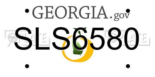 SLS6580 Georgia License Plate