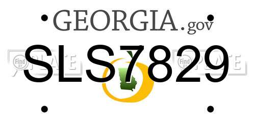SLS7829 Georgia License Plate