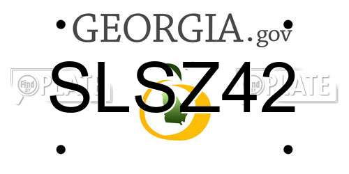 SLSZ42 Georgia License Plate