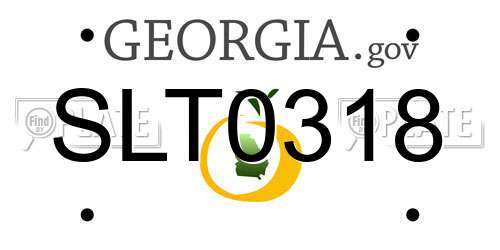 SLT0318 Georgia License Plate