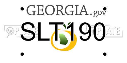 SLT190 Georgia License Plate