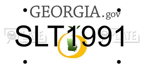 SLT1991 Georgia License Plate