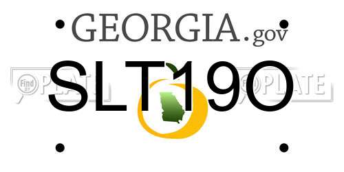 SLT19O Georgia License Plate