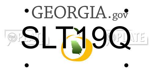 SLT19Q Georgia License Plate