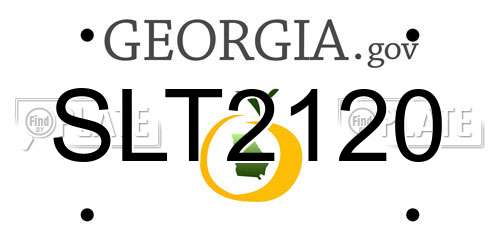 SLT2120 Georgia License Plate