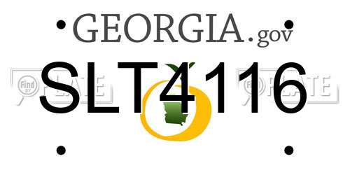SLT4116 Georgia License Plate
