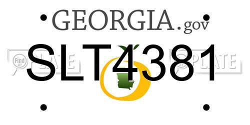 SLT4381 Georgia License Plate