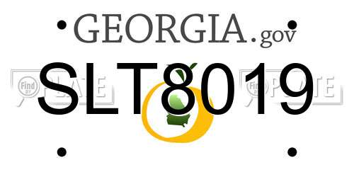 SLT8019 Georgia License Plate