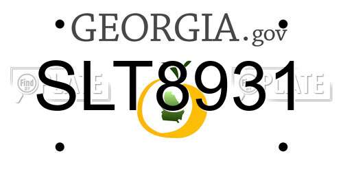 SLT8931 Georgia License Plate