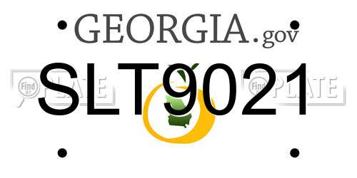 SLT9021 Georgia License Plate