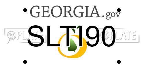 SLTI90 Georgia License Plate