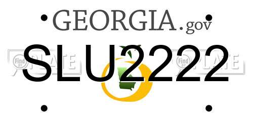 SLU2222 Georgia License Plate