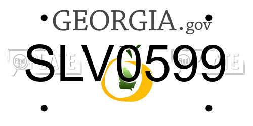 SLV0599 Georgia License Plate